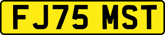 FJ75MST