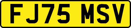FJ75MSV
