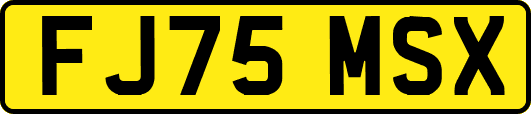FJ75MSX