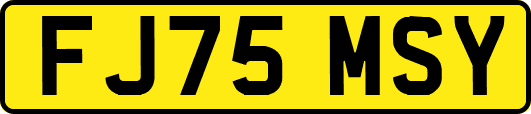 FJ75MSY