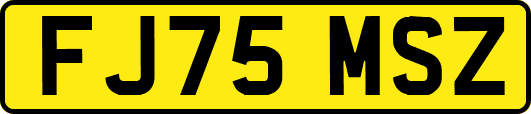 FJ75MSZ