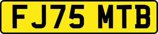 FJ75MTB