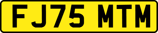 FJ75MTM