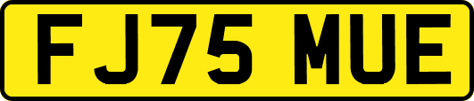 FJ75MUE