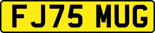 FJ75MUG