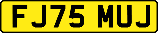 FJ75MUJ