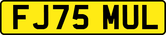 FJ75MUL