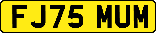FJ75MUM