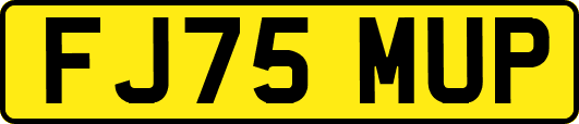 FJ75MUP