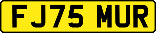 FJ75MUR