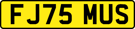 FJ75MUS