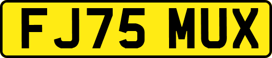 FJ75MUX