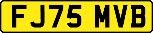 FJ75MVB
