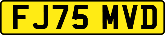 FJ75MVD