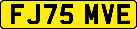 FJ75MVE