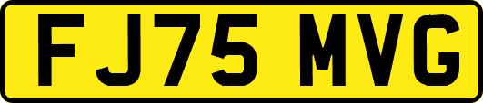 FJ75MVG