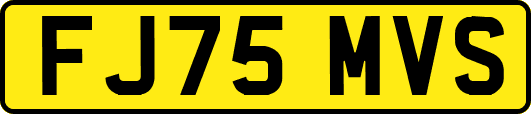FJ75MVS