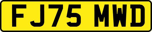 FJ75MWD