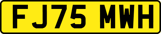 FJ75MWH