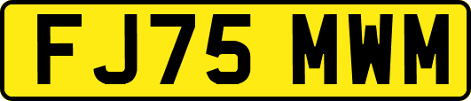 FJ75MWM