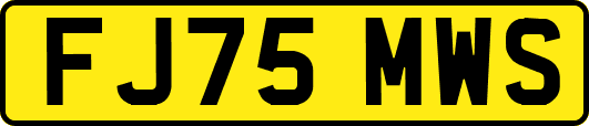 FJ75MWS