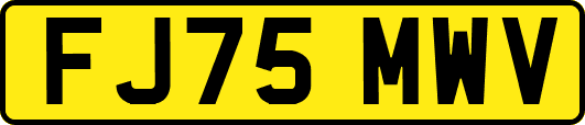 FJ75MWV