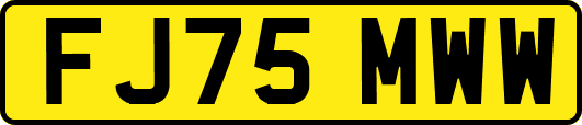 FJ75MWW