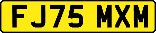 FJ75MXM