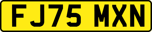 FJ75MXN