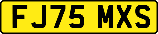 FJ75MXS