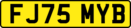 FJ75MYB
