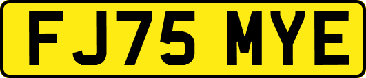 FJ75MYE