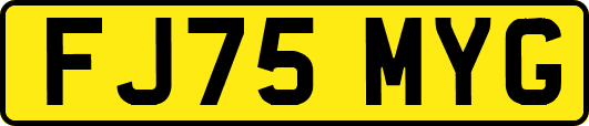 FJ75MYG