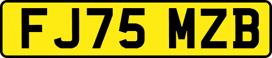 FJ75MZB
