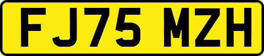 FJ75MZH