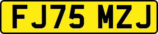 FJ75MZJ