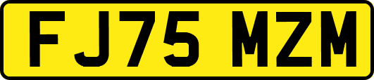 FJ75MZM