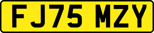 FJ75MZY