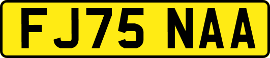FJ75NAA