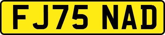 FJ75NAD