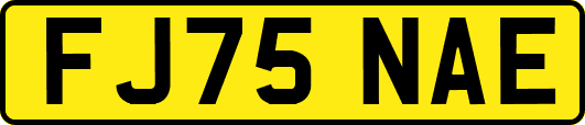 FJ75NAE
