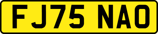FJ75NAO