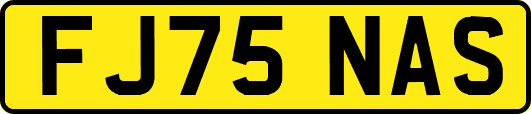 FJ75NAS