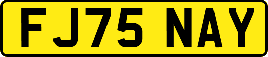 FJ75NAY