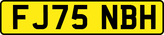 FJ75NBH