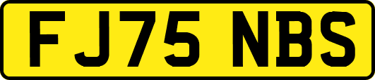 FJ75NBS