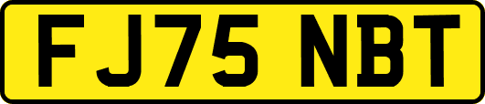 FJ75NBT