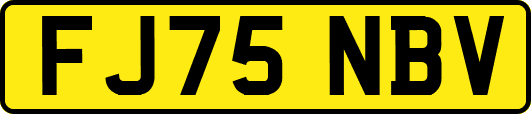 FJ75NBV