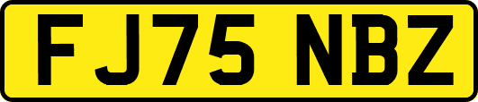 FJ75NBZ