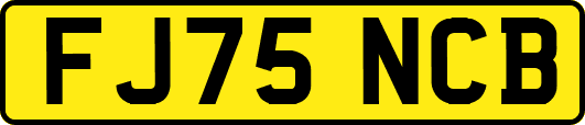 FJ75NCB